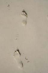 Pas à pas