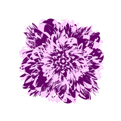 Fototapeta premium Abstract design element. Burst, explosion, speed motion dymanic effect. Radial chaotic shape.