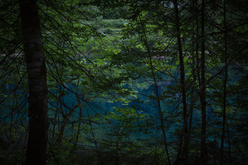 Der Christlessee bei Oberstdorf durch den Wald