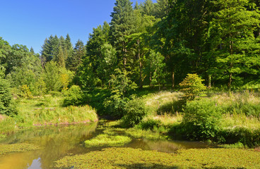 Obraz premium Ardennes - Belgique