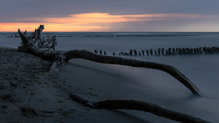 fallen tree on the beach near the sea at dusk on a long exposure