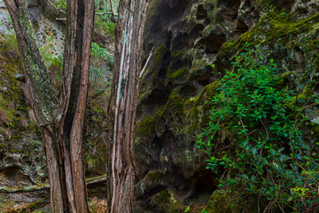 Jaizkibel, Gipuzkoa, Basque Country, Spain, Europe