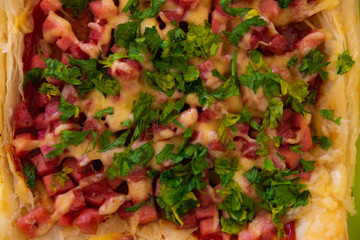 Homemade pizza on a plate close-up, sausage sprinkled with cheese and herbs