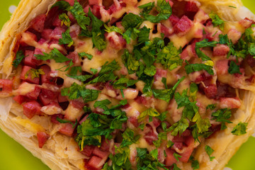 Homemade pizza on a plate close-up, sausage sprinkled with cheese and herbs
