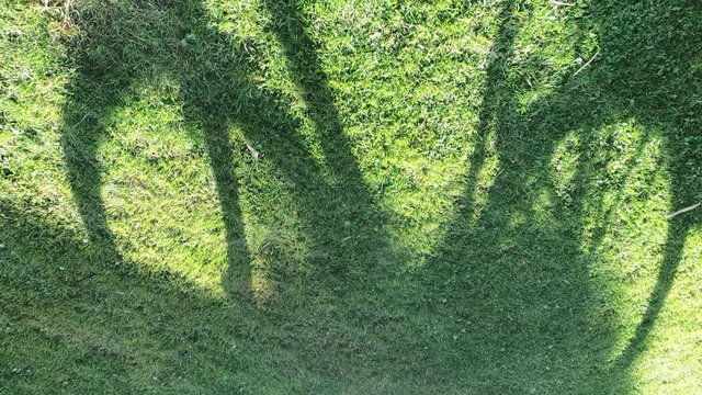 Time lapse of a bicycle shadow on a green meadow. The sun goes down and makes the shadow disappear.