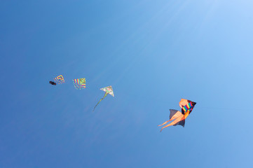 Fototapeta na wymiar kites in the blue sky