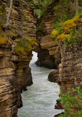 Waterfall surrounded by nature mountain and wildlife. Rocky mountain (Canadian Rockies), Athabasca Falls. Portrait, fine art. Near Jasper, Yoho and Banff National Park. Alberta, Canada: August 4, 2018