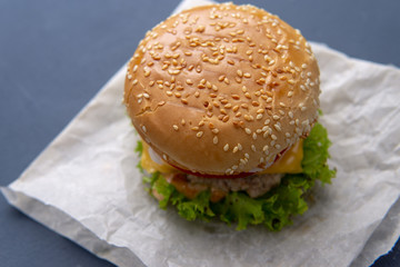Burger with beef patty, salad, a slice of tomato and cheese, onions and sauce with paprika in a grilled bun with sesame