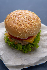 Burger with beef patty, salad, a slice of tomato and cheese, onions and sauce with paprika in a grilled bun with sesame