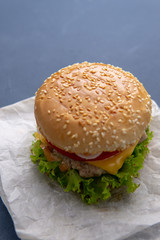Burger with beef patty, salad, a slice of tomato and cheese, onions and sauce with paprika in a grilled bun with sesame