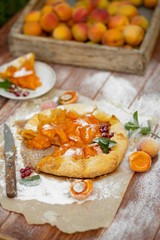 Homemade fruit pie (galette) made with fresh organic apricotes with powdered sugar on wooden table, top view. Plate with a cut piece of cake. Open pie, apricot tart on parchment paper.
