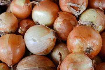 Fresh sweet onions at a farmers market. Fresh onions background. A bunch of Yellow onions. Close up.