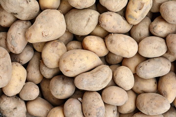 Ripe potatoes on the counter. Background. Close up of Ripe potatoes on the counter market stall. raw vegetables food pattern.