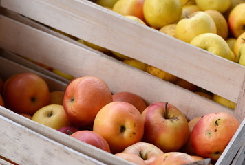 Apples on the market. Fresh organic red apples from the local farmers market. Apples background background texture seasoning Apples for sale. 