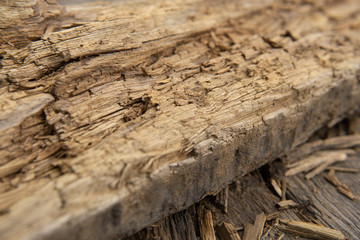 Texture of old wooden board
