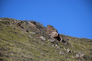Near the Uybat river.Khakassia.