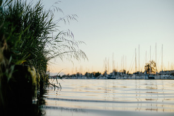 Abendstimmung am Ryck in Greifswald