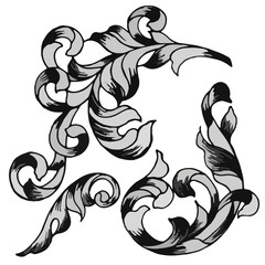 curls in the classical style, Isolate on a white background