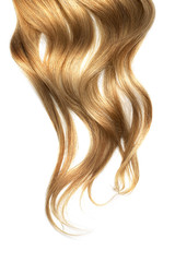 Obraz premium Brown wavy hair isolated on white background