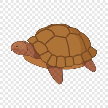 Turtle icon. Cartoon illustration of turtle vector icon for web