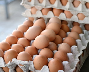 Eggs in the paper package. Fresh eggs at the market. Selling Fresh Chicken Eggs at Local Farmer Market. Fresh chicken eggs for sale at a market place. 