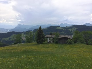 Berglandschaft mit gelb blühender Bergwiese am Geigelstein