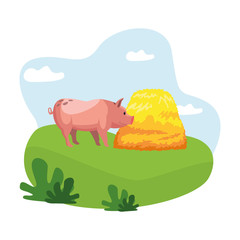 farm, animals and farmer cartoon