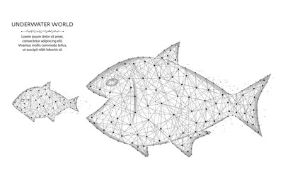 Big fish eat small low poly design, predator and prey in polygonal style, underwater world wire frame vector illustration on a white background