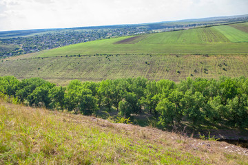 Fototapeta na wymiar aerial view of green agricultural fields