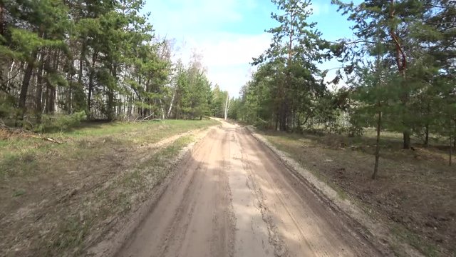 view from a car driving along a forest sand road