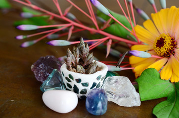 Obraz na płótnie Canvas Mother of Thousands pups, baby plantlets in handmade ceramic pot. Miniature terrarium decoration with a collection of healing crystals. Aqua, Ametrine, Clear Quartz, and Fluorite. Beautiful colors