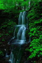 Obraz premium 夏の小滝さん