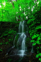 Fototapeta premium 夏の小滝さん