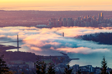 Downtown Vancouver covered in morning fog - obrazy, fototapety, plakaty