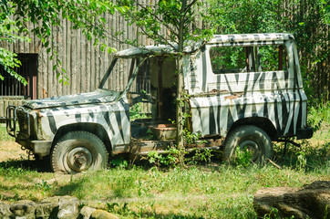 Fototapeta premium Old abandoned car. Car wreck 