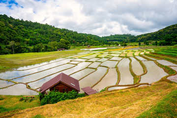 Mae Klang Luang home stay rice terrace at the northern of Thailand in the day time  chiangmai thailand. Rice fields Chom Thong District.