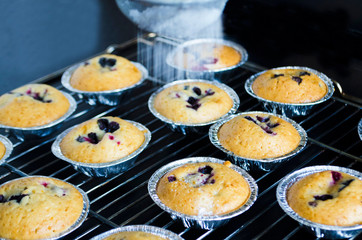 muffins with blueberries from the stove, sprinkled with powdered sugar.