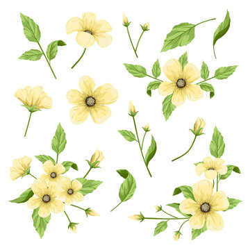 Isolated yellow flower clip arts and arrangements, beautiful floral design elements.