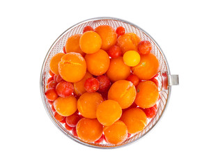 Tomatoes, frozen in refrigerator isolated on white