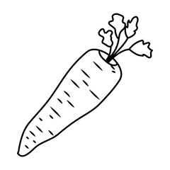 carrot fresh vegetable healthy icon
