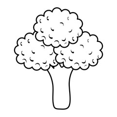 broccoli fresh vegetable healthy icon