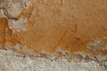 Close-up of white and orange thermophiles in Upper Geyser Basin at Yellowstone National Park, Wyoming