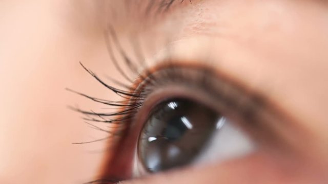 目　クローズアップ　瞬き　まつ毛　カラコン　30代　女性　スローモーション4倍速