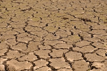 The cracked ground, Soil texture and dry mud, Dry land.