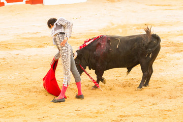 Redondeo