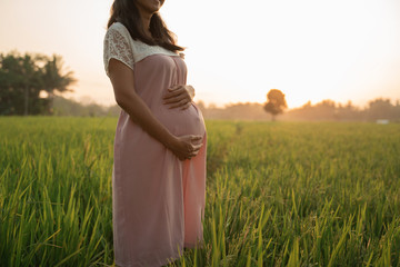 Fototapeta na wymiar beautiful pregnant woman in rice field on sunset day
