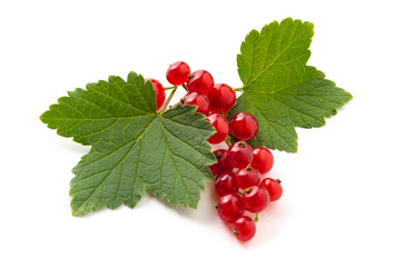 red currant with green leaves isolated on white background