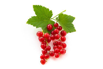 red currant with green leaves isolated on white background