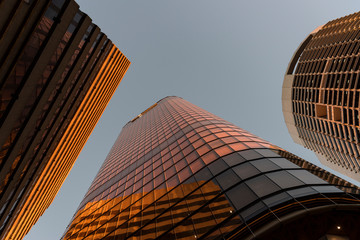 Buildings downtown reflecting the orange of sunset.