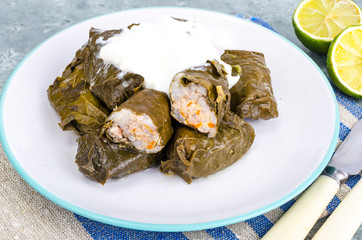 Dolma with meat and rice from grape leaves. 